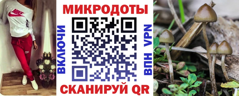 наркошоп  Дивногорск  Псилоцибиновые грибы GOLDEN TEACHER 