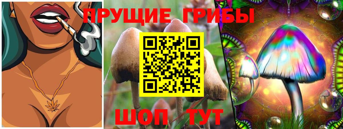 Дивногорск  Галлюциногенные грибы Psilocybe  Псилоцибиновые грибы прущие грибы  Вход с VPN 