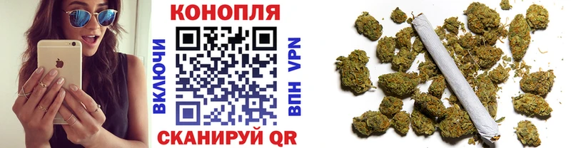 Каннабис SATIVA & INDICA Дивногорск